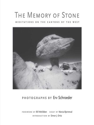 cover image of The Memory of Stone